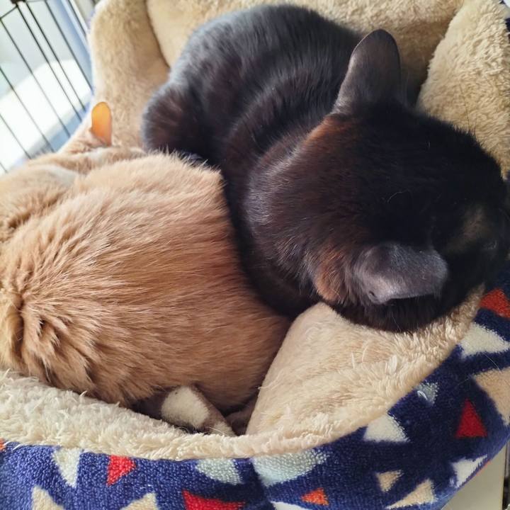 A9ef76b7 8e5f 4623 8c42 b66df855dba7 1711406479739