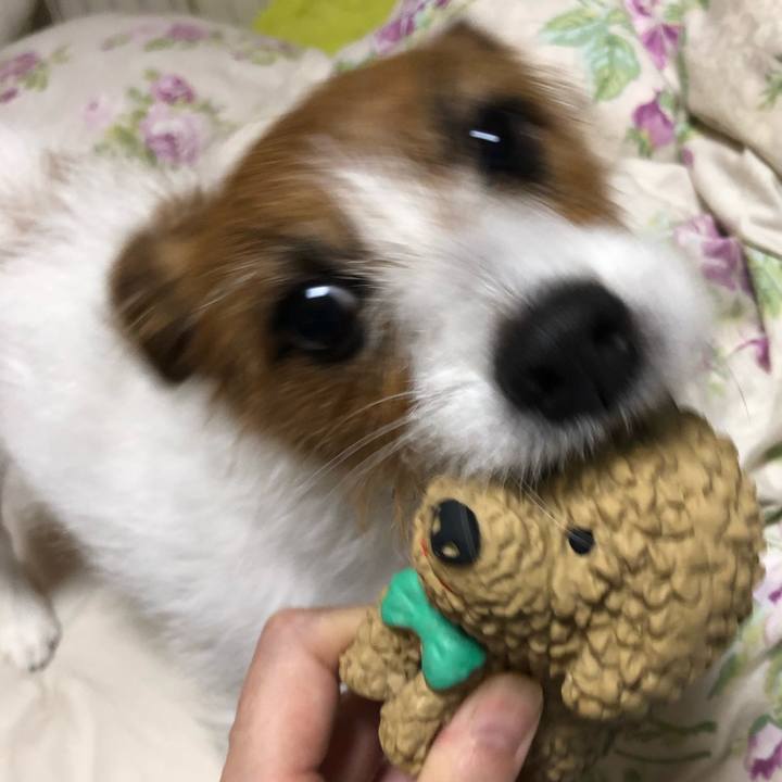 A9ef7a1a 1e18 4799 bfd1 f30466582bee 1540901717191