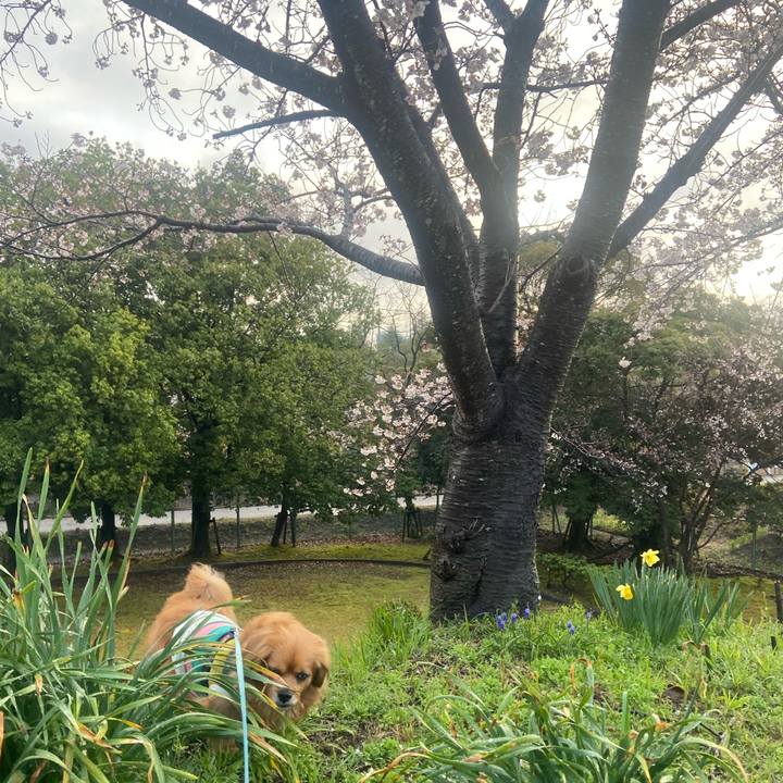 A9ef9502 fcb7 40da bdba 29c7b931e990 1616968784396