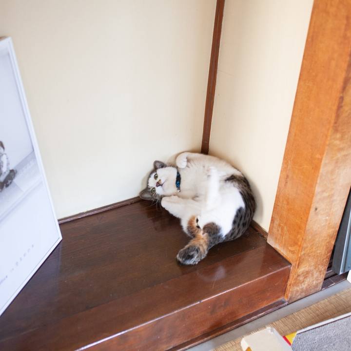 A9efb117 4d78 4bf2 b9ce b986458d0b42 1548328271289