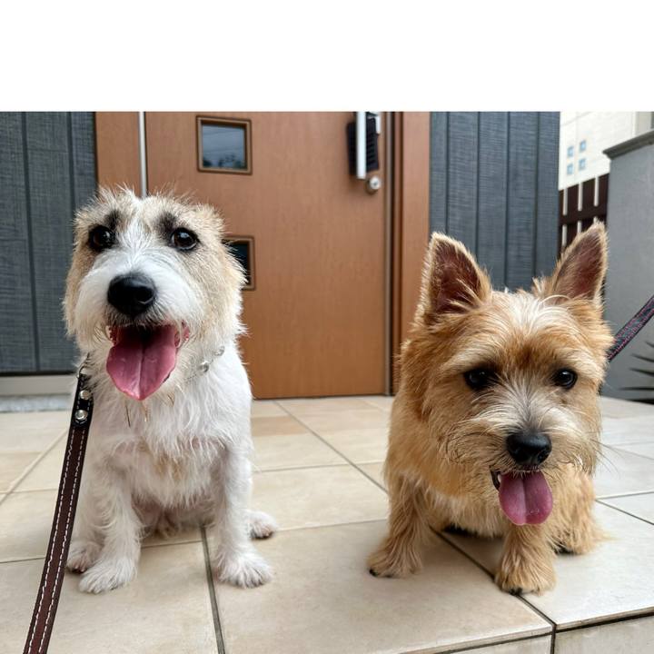 A9efd3a9 0d25 4c1d bb21 07a685784573 1727020649544