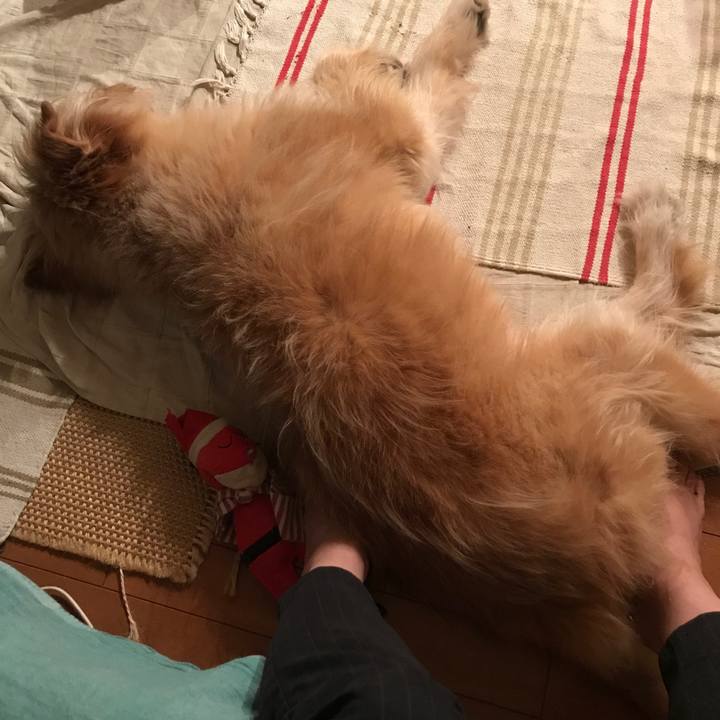 A9efd3e1 7e14 42ec bae9 bb0881d34bcb 1568368485352