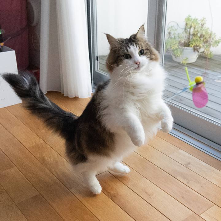 A9efd643 d507 4fc2 8771 23f23fc84d49 1644112463868