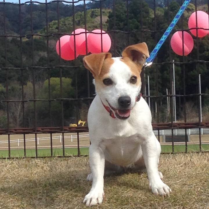 A9efdb5d 435a 4f0c 9f57 8636af49f306 1585210620805