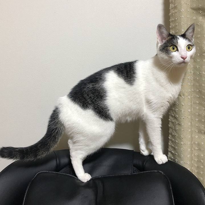 A9efdc8b c535 4553 ade3 b6ce51cd999a 1659355530074