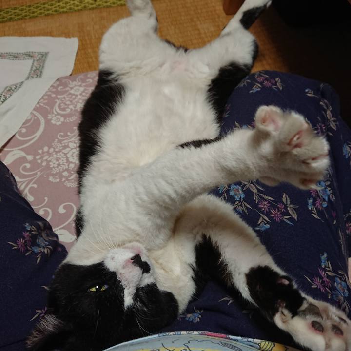 A9efeb08 340d 4cdc a105 eb801c241b05 1632657935480