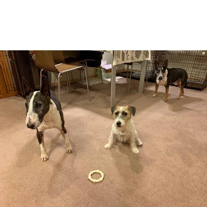 A9f002c1 b25a 439c a3a8 5ab609d60bc8 1599825023958