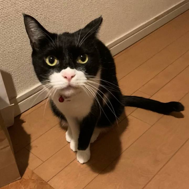 A9f035c0 0061 41c4 8a41 178dcc1f7c75 1651068676609