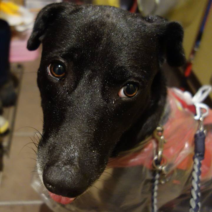 A9f05c35 fb95 4c4f befd 5b67ec45a79d 1625056494202