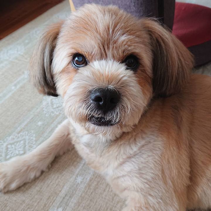 A9f0909f 8b34 455e a1b5 7395964a72b2 1595206183004