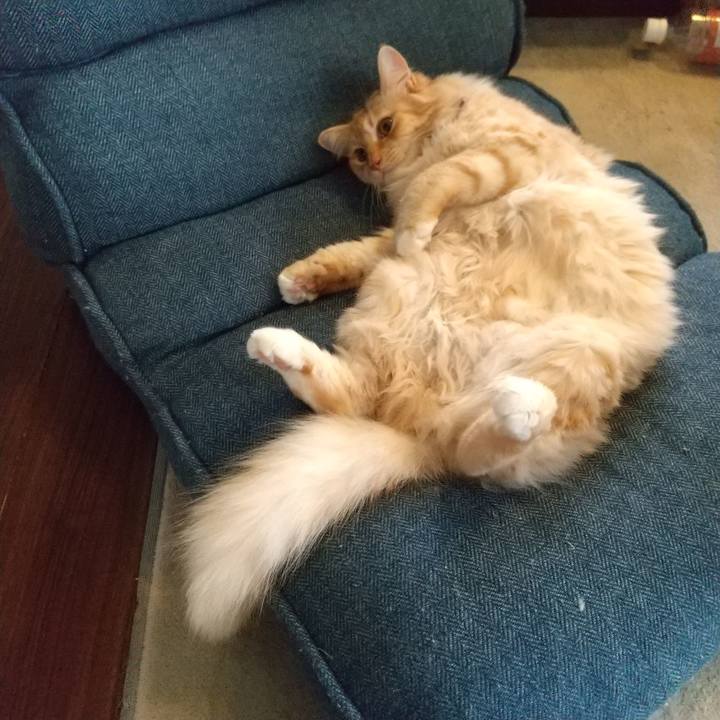 A9f0c2e0 16f4 4d1b aa23 772cb3a3eae0 1631442281426