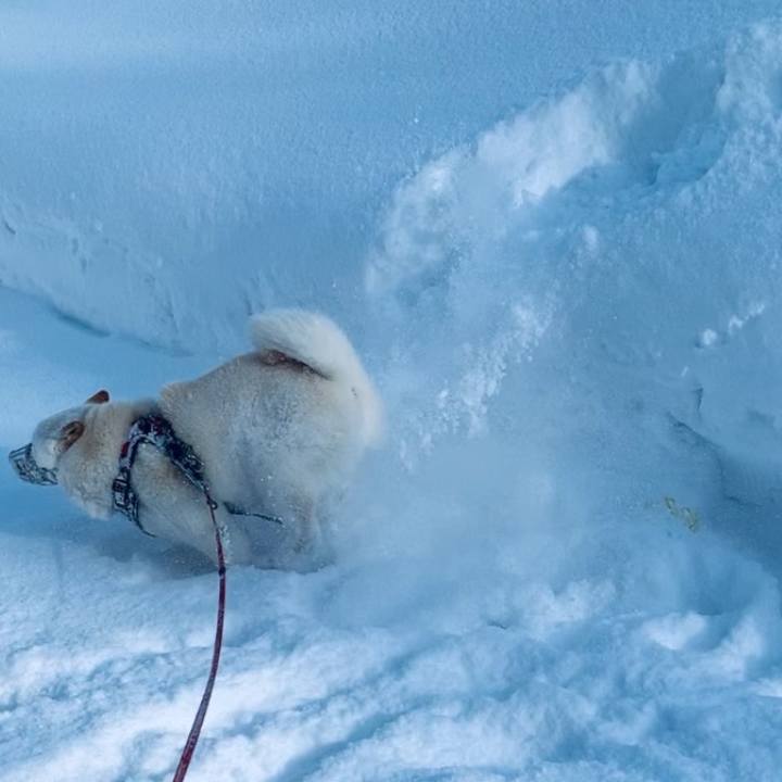 A9f0f3ae fcef 426b a4ee bf38be964621 1643425029973