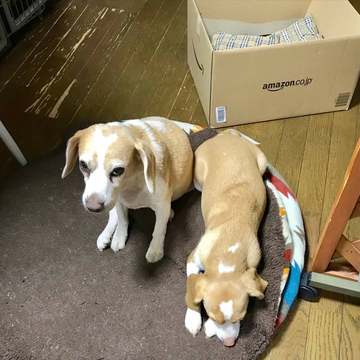 A9f0f55e 6f76 4665 915c 8a44269d2f2e 1547032419931