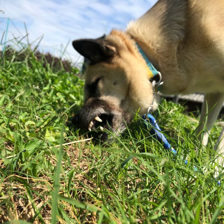 A9f12a0a 04c3 47f6 b90c c998d370505a 1632744001831