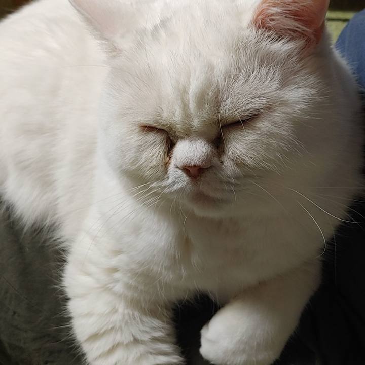 A9f13671 67f7 4615 adb7 80eb1496bf4b 1637740731101