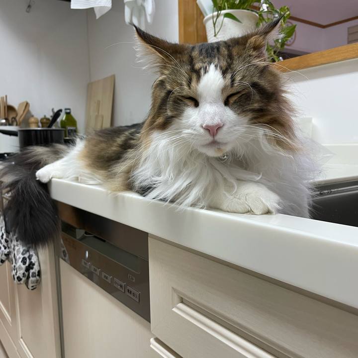 A9f14685 278a 4035 ad30 1a80bade2205 1645090496405