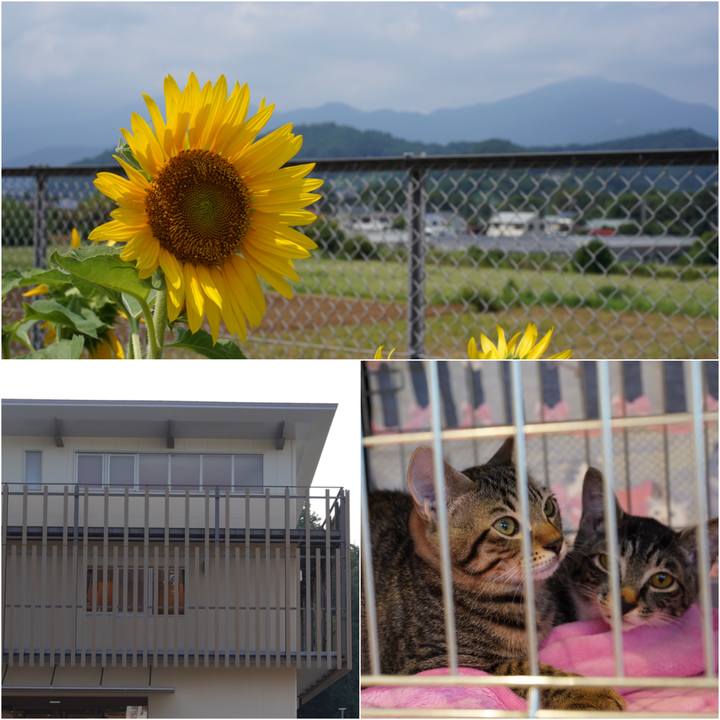 A9f15d2f 3647 4d0d bfab 8efa7057edf7 1566742242486