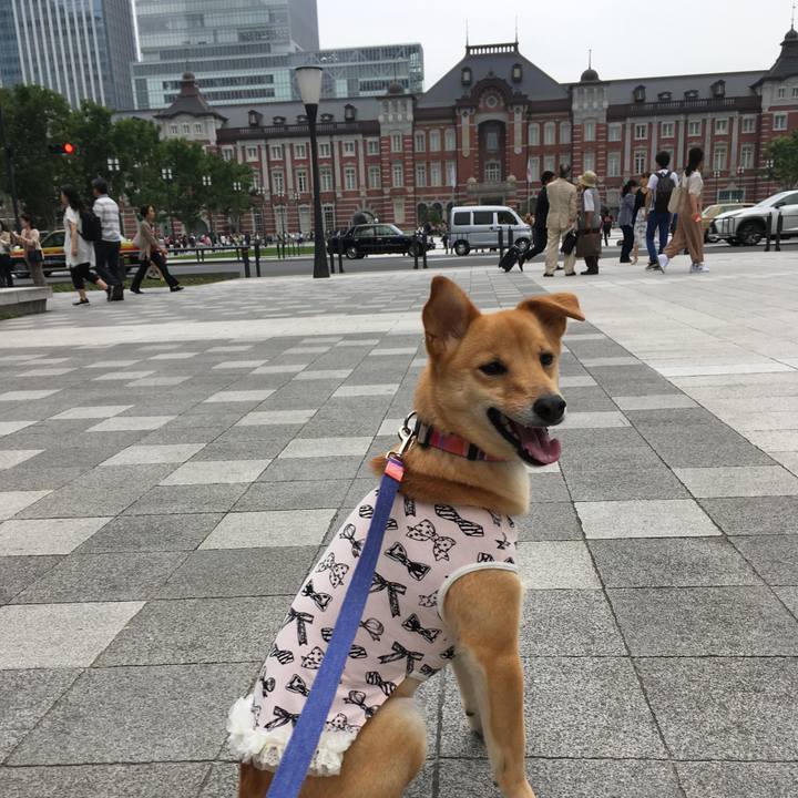 A9f160f7 add5 450e b136 42f581d5aabc 1525248343770