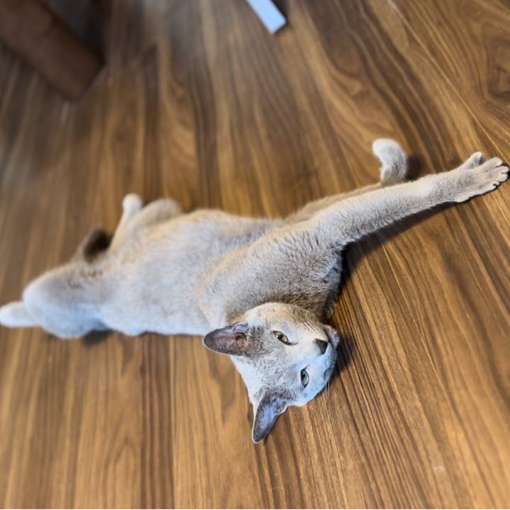 A9f178ff 64ff 41e4 8103 6bf55362a971 1743128955521