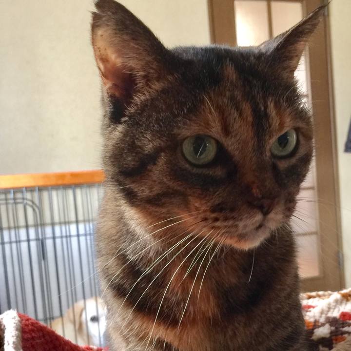 A9f1c4c1 9bce 465b b411 92ff5ef78187 1510711708298