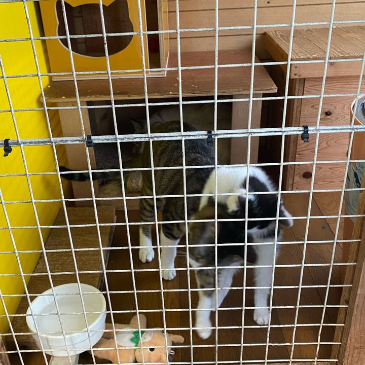 A9f1dc01 51c5 409a bc58 91608f0d8c7a 1653969306031