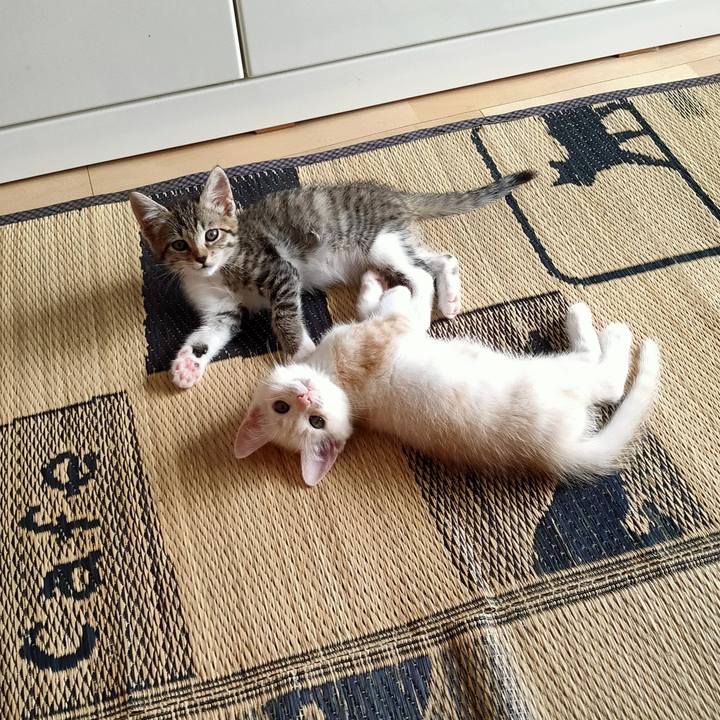 A9f1e40b 7488 4cdf 9a3b 50ed4421519d 1623817680884