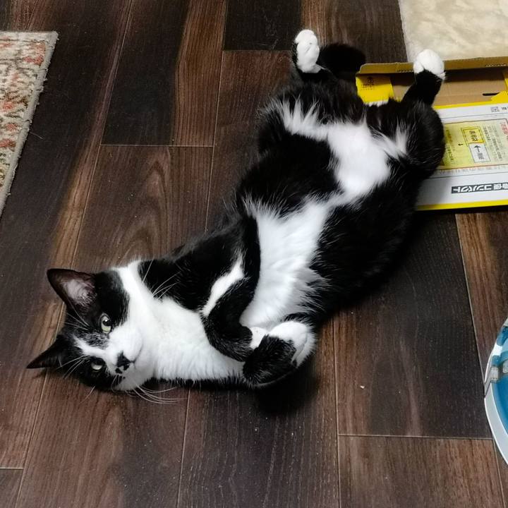 A9f20405 f5b1 4c5d a1e0 fcf722f6423c 1557767702716