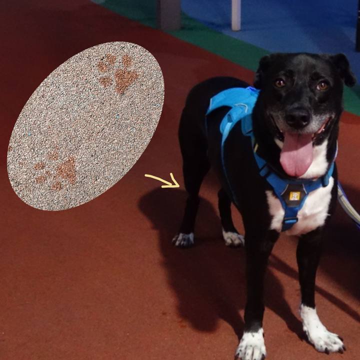 A9f21382 5740 4481 9607 be01b0769fd2 1692010830225