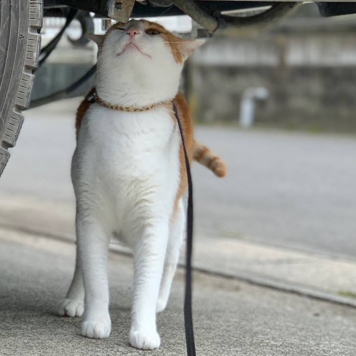 A9f250dc 59fc 44d4 858f 7c73648b4e1e 1595158405125