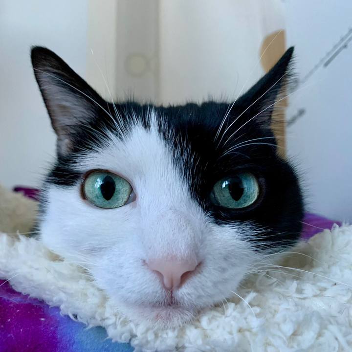 A9f25779 4b4d 4578 9a1a 3f9ba9106fef 1703297562296