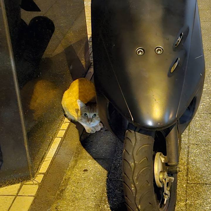 A9f26031 1185 48a7 baec 1a920a0d14da 1698731854366