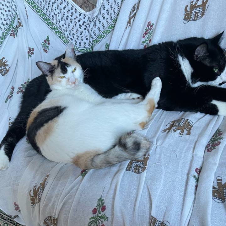 A9f262ae 9fa7 47e9 988c ae6025997415 1693900048318