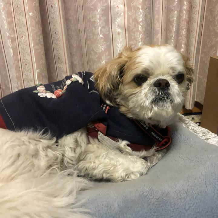 A9f28013 3892 4cb1 a969 9eec80584308 1612561992250