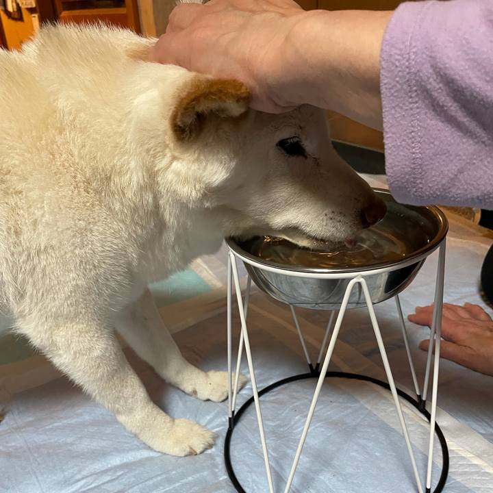 A9f280d9 4de6 432f b826 f5e3bfe4e37e 1640099235236