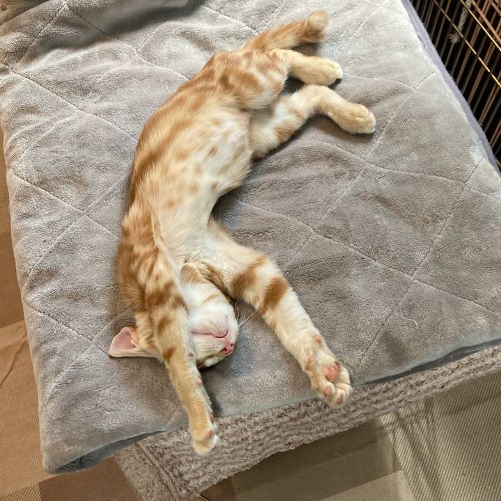 A9f2819f 2283 43e9 a067 a934ff15ab70 1756215654972