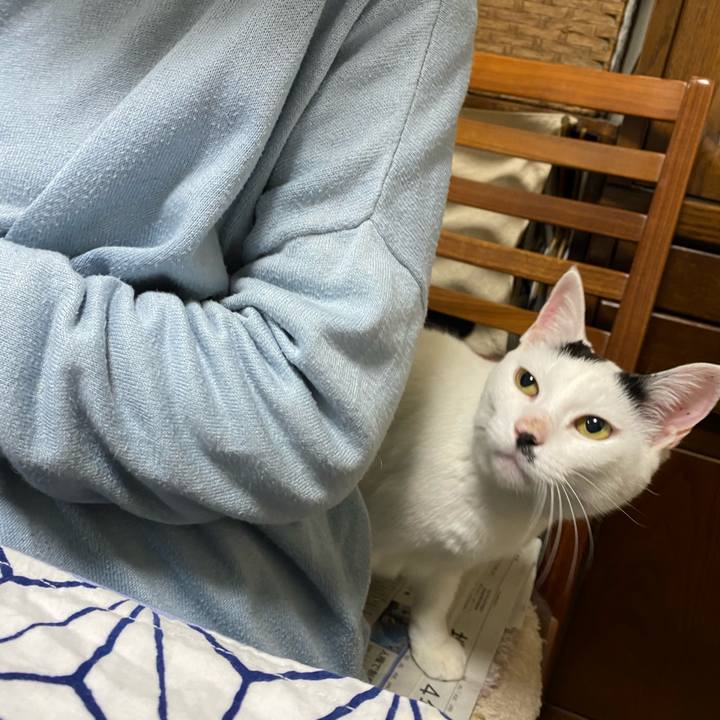 A9f288a3 ca15 4459 9109 ee72157d138a 1616670195004