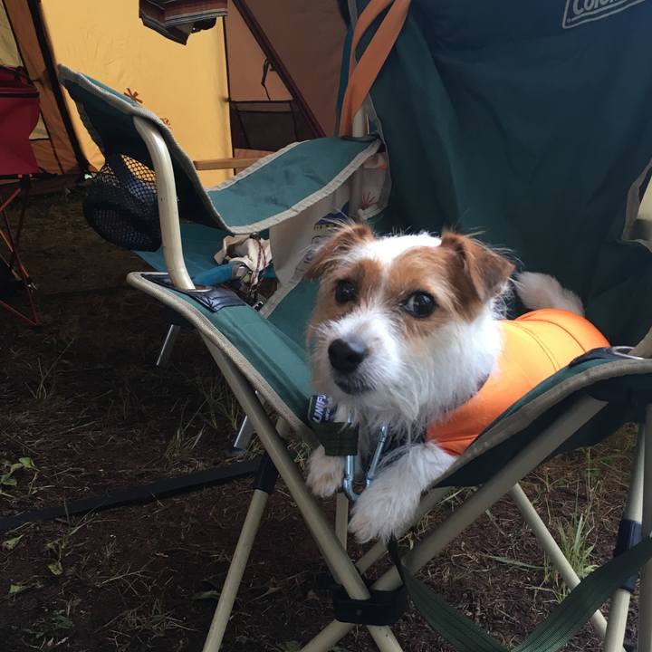 A9f2b1f9 0e36 4f4e a672 4be0f0347ac1 1534424956504