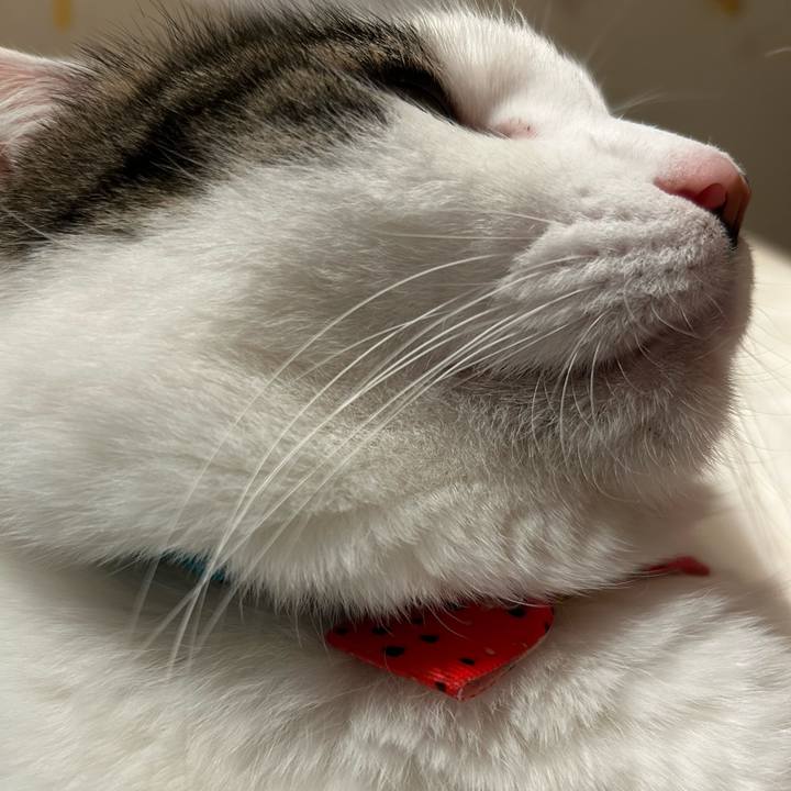 A9f2b378 56c2 434e 8504 6145fa894f4f 1761666774663