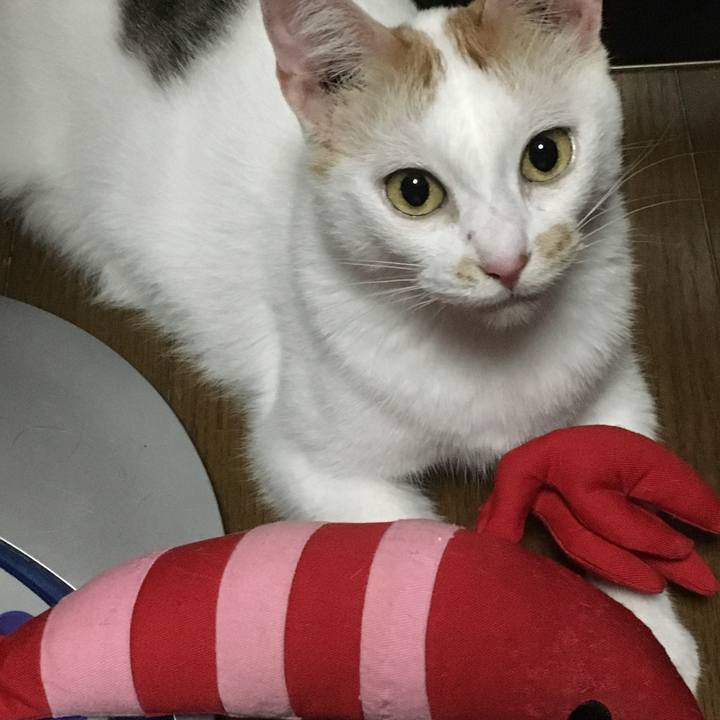 A9f2b8f0 605c 4f2c aec9 8f9d0357dd6d 1565098327961