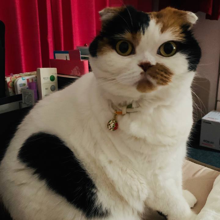 A9f2d281 3220 4044 8913 1d016451f86d 1572186979052