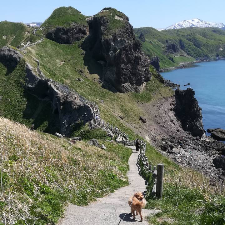 A9f2e0f0 3e54 4368 b97f 1d4abb94ce9b 1557744105189