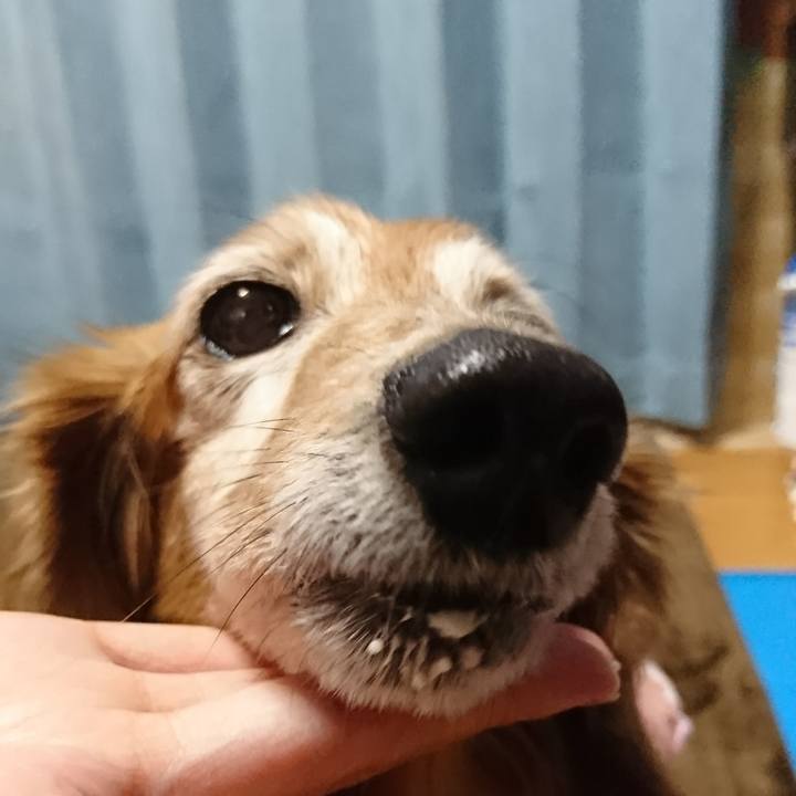 A9f360b0 efe9 4ab1 b7a5 f7ab97041f1e 1514883805361