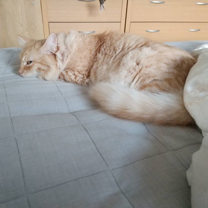 A9f3b231 dcb6 41cf 97c8 4f0ff33a052e 1634168890633