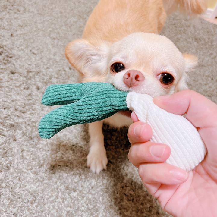 A9f3bd22 aa08 4160 b595 d12ac55f6db6 1662523481245