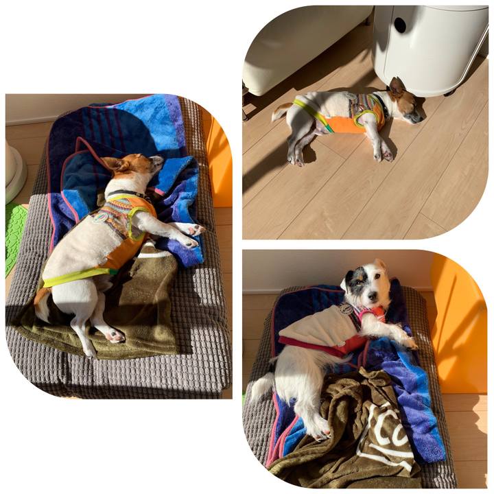 A9f3be58 7a72 48c6 88c3 c2765f825e5d 1548043278141