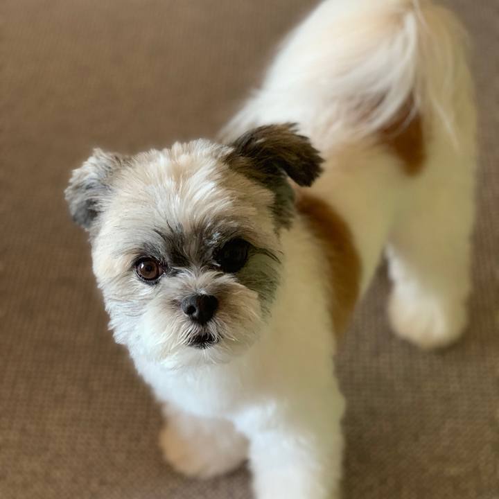 A9f3ef9d d3e8 40fd b8a4 fd2e0e04b9c8 1568945931137