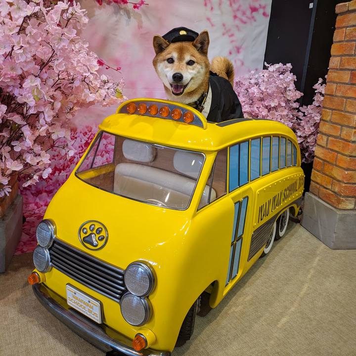 A9f3f45b 4ab8 40d0 b9f7 d3122653816c 1712925662880