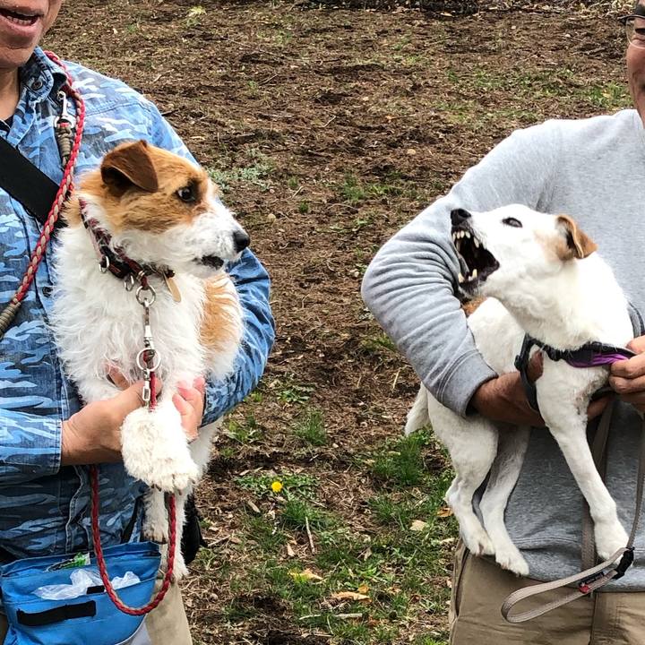 A9f408bc 13f9 46c0 9719 c1d640e08477 1556712352543