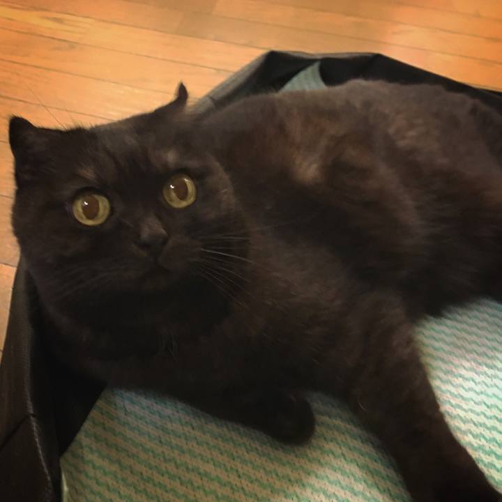 A9f41694 aef4 40f0 8ea4 74f61ca84c79 1513952293705