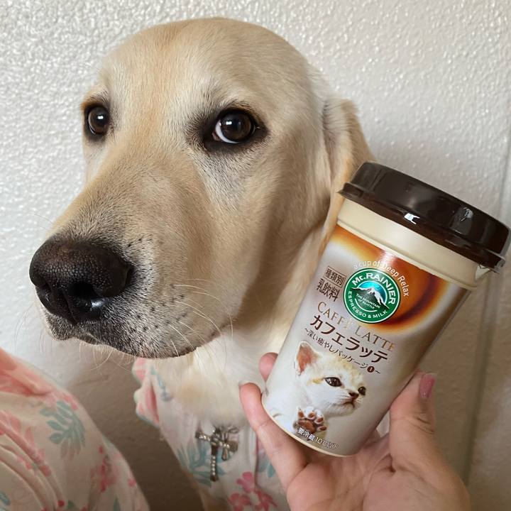 A9f416a1 4df6 4300 8338 d0af6293ec9e 1619760785991